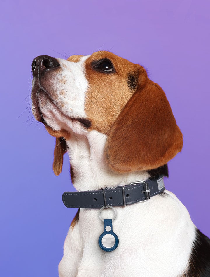 Bluetooth-Tags und Tracker zum Wiederfinden von Gegenständen