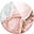 Rose Serenity