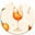 Spritz Society