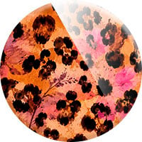 Glam Safari