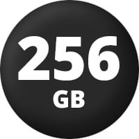 256 GB