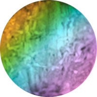 Bunt