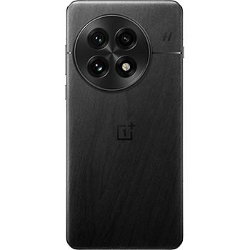 OnePlus 13