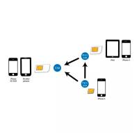 LogiLink Dual SIM-Karten-Adapter – Nano, Micro, Standard SIM, SIM-Karten-Umwandlung, Flexibilität für alle Größen