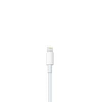 Apple SD Karten Adapter – Lightning Adapter für iPhone 5 - 14 und iPad Modelle, Kartenlesegerät für SD-Karten